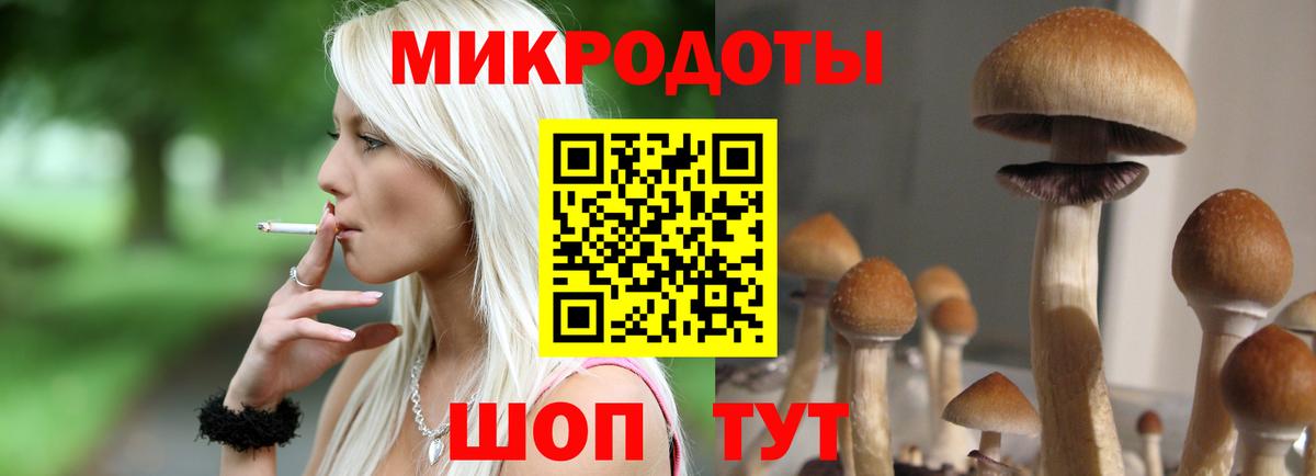Галлюциногенные грибы ЛСД  Вход с VPN  Галлюциногенные грибы мицелий  закладка  Камышин 